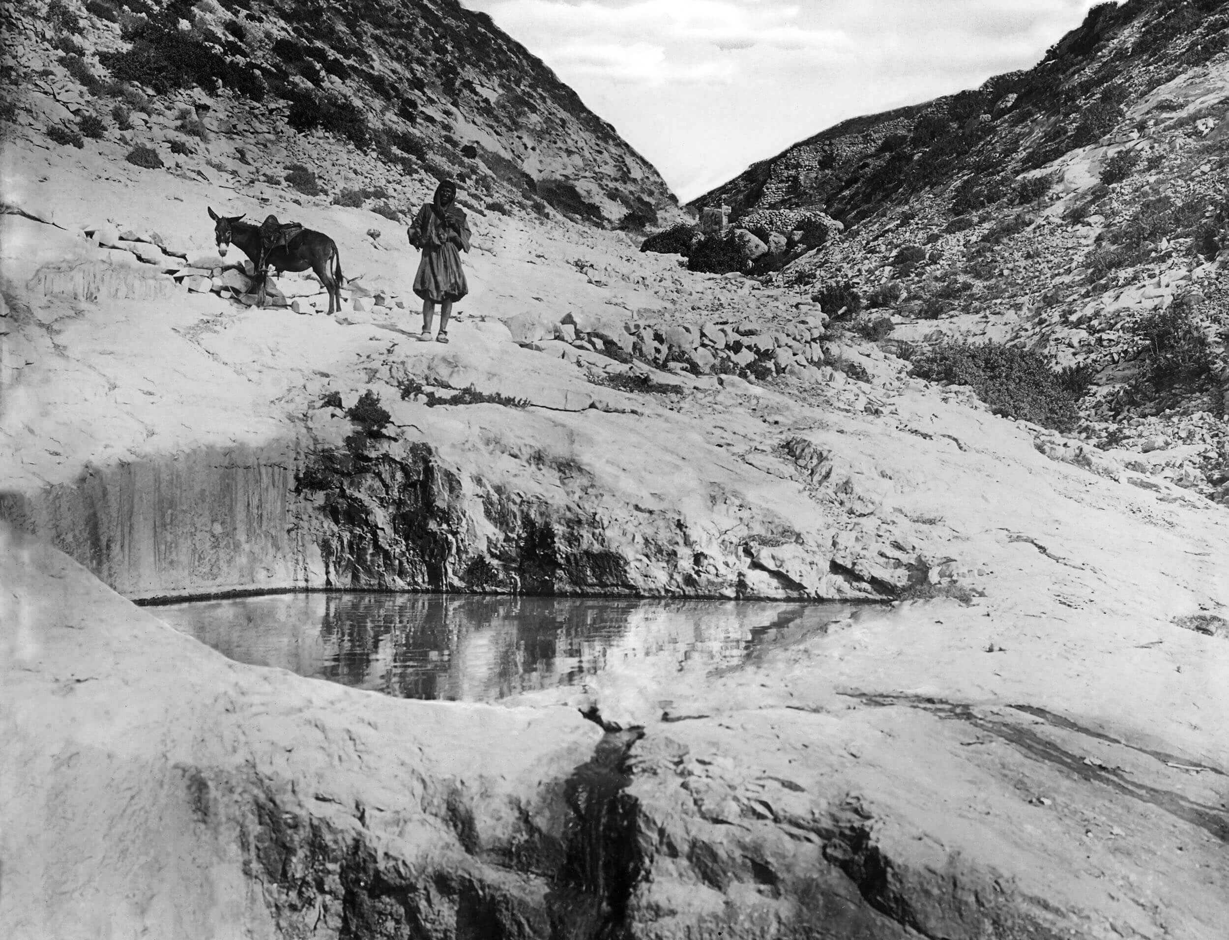 Archival photograph — quarry landscape with mules and figure