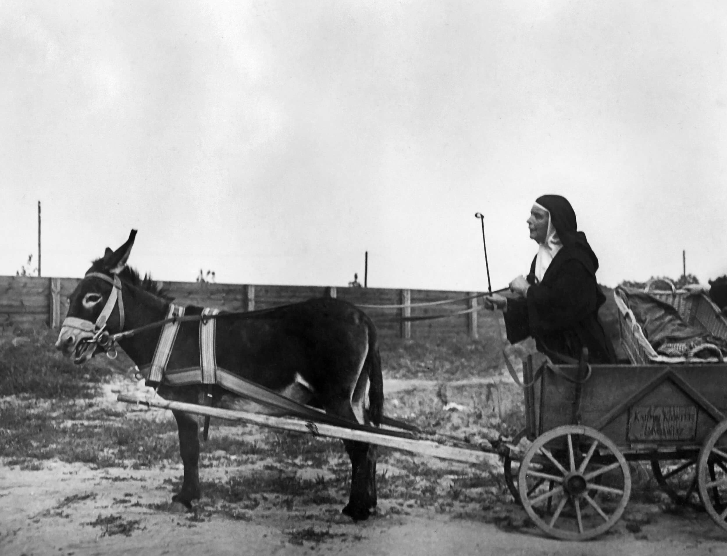 Archival photograph — figure riding a mule-drawn cart