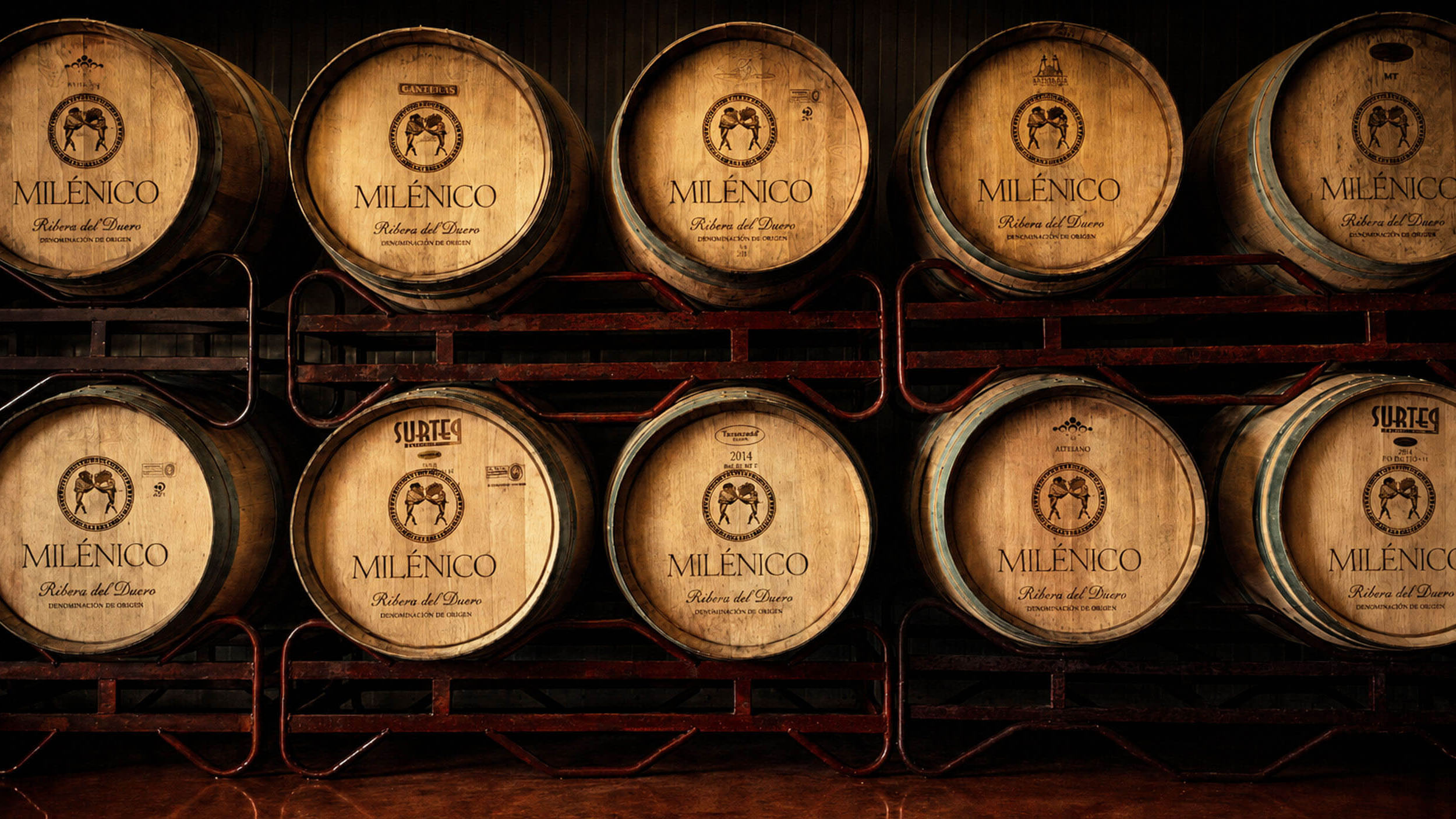Bodegas Milénico — oak barrels ageing room, San Martín de Rubiales
