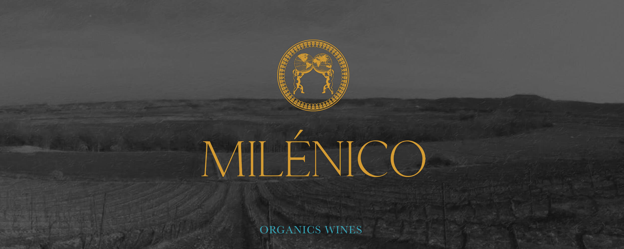 Bodegas Milénico — wine bottles and label detail on dark background