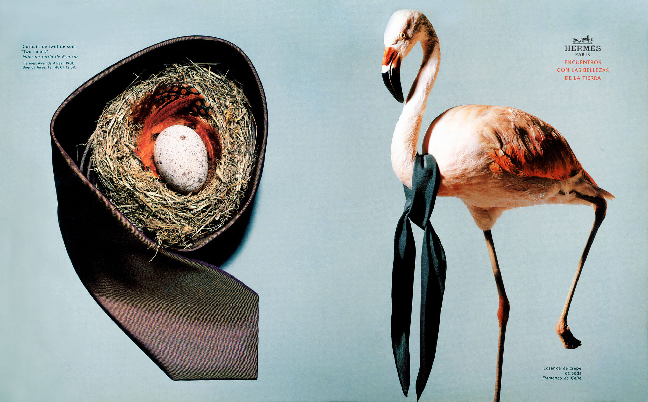 Hermès advertisement — silk tie and flamingo, "Encuentros con las bellezas de la tierra"